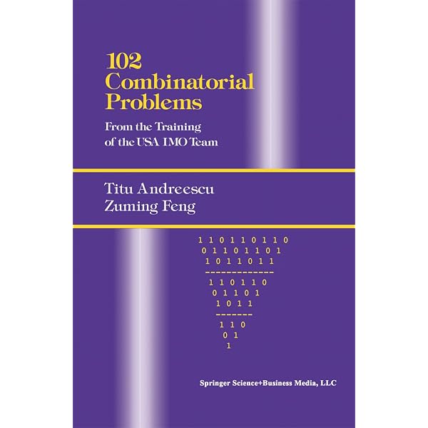 A Path to Combinatorics for Undergraduates: Counting Strategies